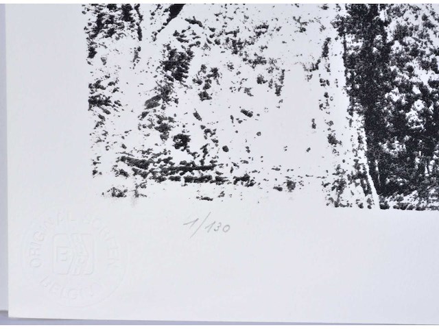 Rik hoydonckx - kleurenzeefdruk - 1/130 - afbeelding 4 van  6