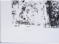 Rik hoydonckx - kleurenzeefdruk - 1/130 - afbeelding 4 van  6