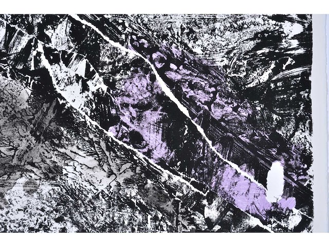 Rik hoydonckx - kleurenzeefdruk - 1/130 - afbeelding 5 van  6