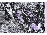 Rik hoydonckx - kleurenzeefdruk - 1/130 - afbeelding 5 van  6