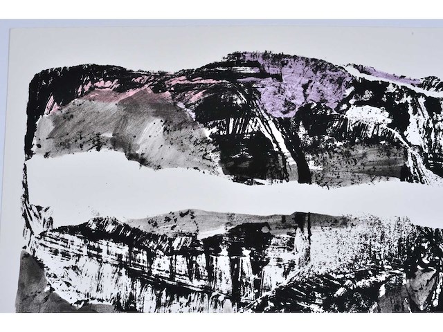 Rik hoydonckx - kleurenzeefdruk - 1/130 - afbeelding 6 van  6