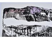 Rik hoydonckx - kleurenzeefdruk - 1/130 - afbeelding 6 van  6