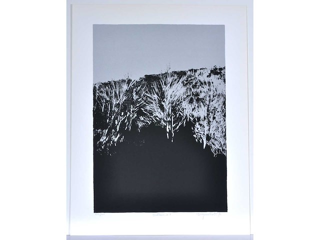 Rob bruyninckx - kleurenzeefdruk - afbeelding 2 van  7