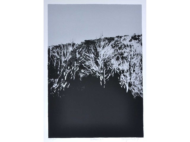 Rob bruyninckx - zeefdruk - afbeelding 1 van  6