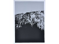 Rob bruyninckx - zeefdruk - afbeelding 1 van  6