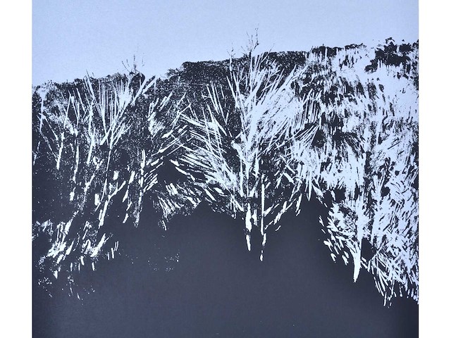 Rob bruyninckx - zeefdruk - afbeelding 5 van  6