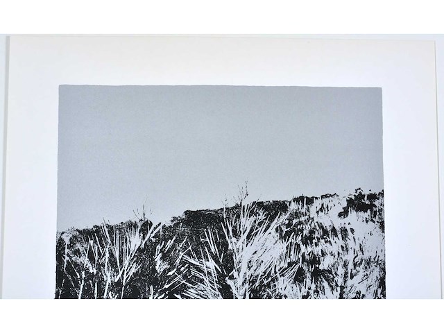 Rob bruyninckx - zeefdruk - afbeelding 6 van  6