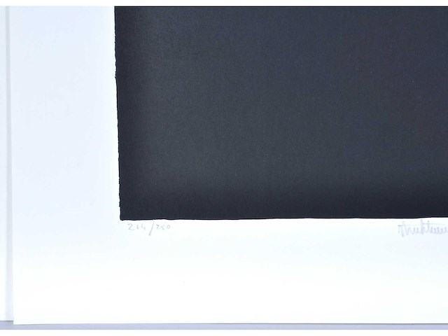 Rob bruyninckx - zeefdruk - afbeelding 4 van  6