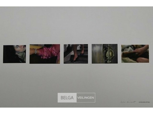 Robert devriendt - afbeelding 1 van  3