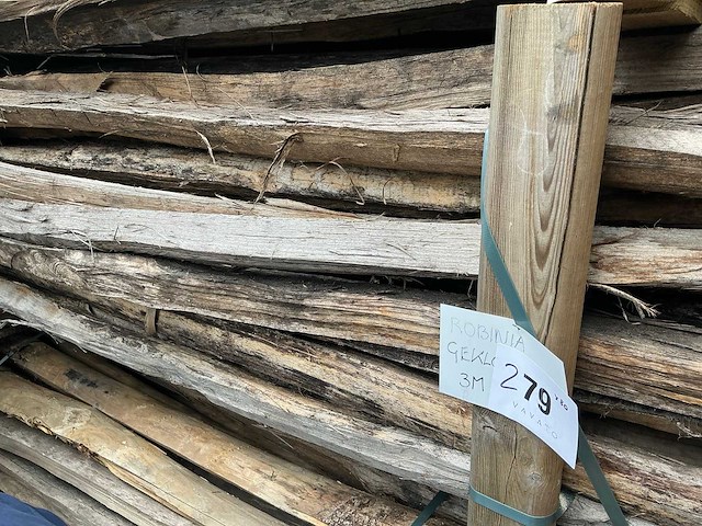 Robinia ligger (80x) - afbeelding 1 van  3