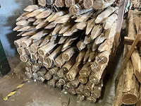 Robinia paal (128x) - afbeelding 4 van  4