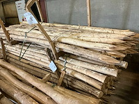 Robinia paal (128x) - afbeelding 1 van  4