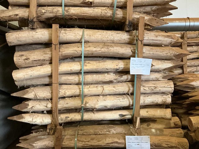 Robinia paal (140x) - afbeelding 1 van  3