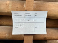 Robinia paal (25x) - afbeelding 4 van  4
