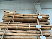 Robinia paal (25x) - afbeelding 1 van  4