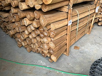 Robinia paal (70x) - afbeelding 2 van  4