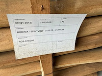 Robinia paal (70x) - afbeelding 4 van  4