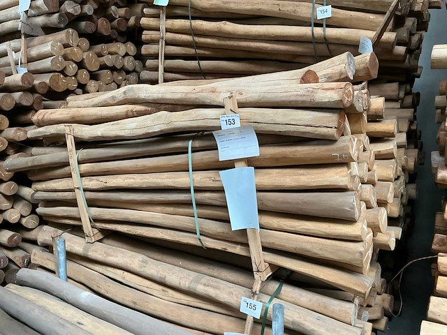 Robinia paal (70x) - afbeelding 1 van  3