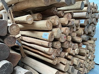 Robinia paal (70x) - afbeelding 1 van  3