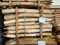 Robinia paal (70x) - afbeelding 1 van  1