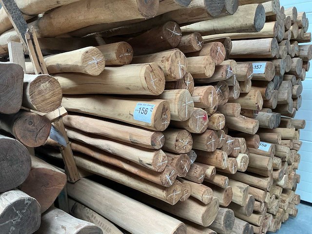 Robinia paal (70x) - afbeelding 1 van  3