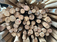 Robinia paal (70x) - afbeelding 2 van  3