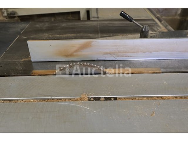 Robland z320 paneelzaag - afbeelding 12 van  13