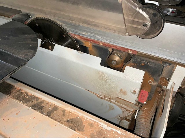 Robland z3200 formaatcirkelzaagmachine - afbeelding 2 van  11