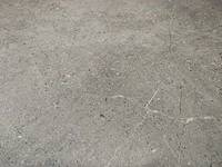 Roca rupestre grey mat vloertegel 119,5x119,5 cm 43,2 m² - afbeelding 14 van  15