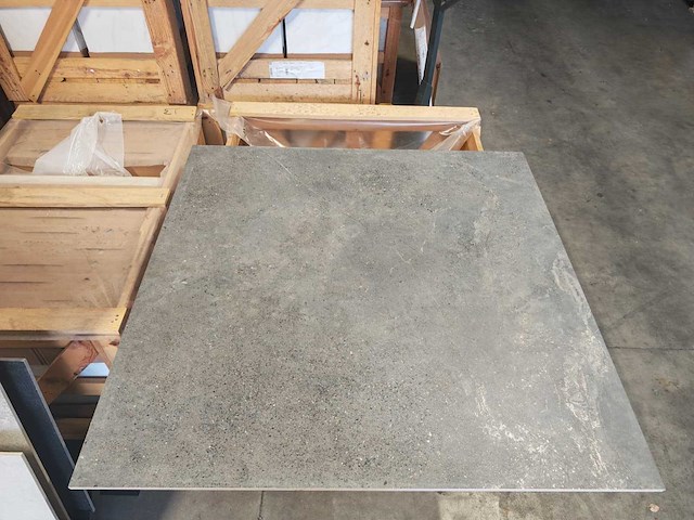 Roca rupestre grey mat vloertegel 119,5x119,5 cm 86,4 m² - afbeelding 11 van  15