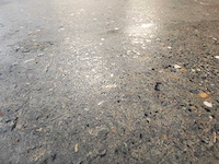 Roca rupestre grey mat vloertegel 119,5x119,5 cm 91,2 m² - afbeelding 3 van  15