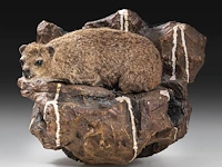 Rock hyrax (procavia capensis) full mount, taxidermy trophy, h 30 cm - afbeelding 3 van  10