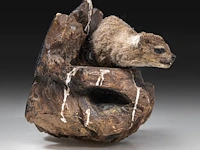 Rock hyrax (procavia capensis) full mount, taxidermy trophy, h 30 cm - afbeelding 5 van  10