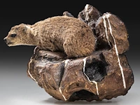Rock hyrax (procavia capensis) full mount, taxidermy trophy, h 30 cm - afbeelding 8 van  10