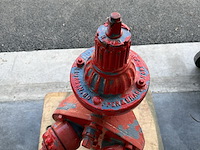 Rode brandkraan - afbeelding 3 van  3