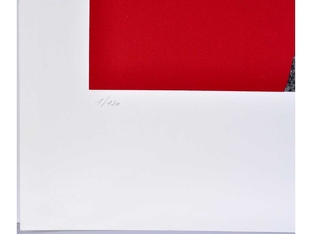 Roger nellens - kleurenzeefdruk - 1/130 - afbeelding 4 van  7