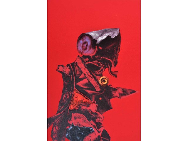 Roger nellens - kleurenzeefdruk - 1/130 - afbeelding 5 van  7