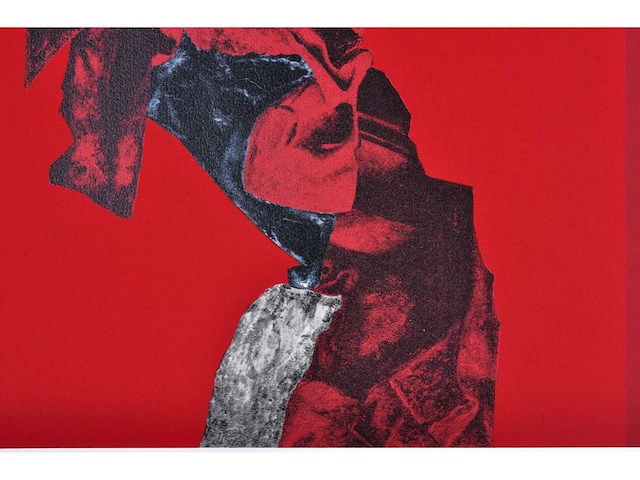 Roger nellens - kleurenzeefdruk - 1/130 - afbeelding 6 van  7