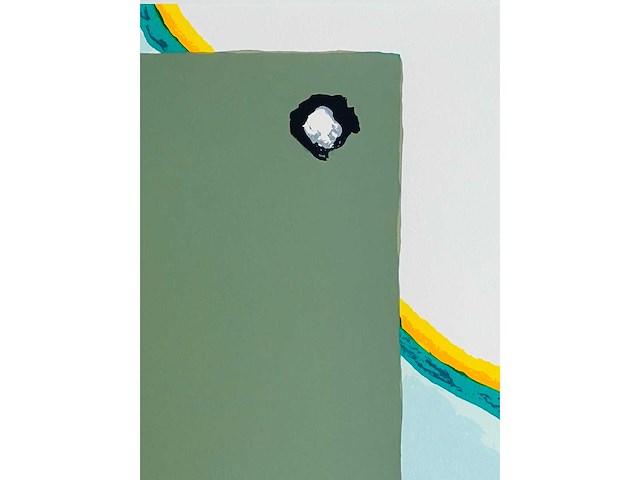 Roger raveel - aanschouwen - kleurenzeefdruk - afbeelding 9 van  11