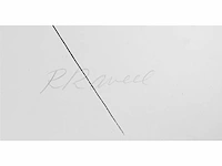 Roger raveel - alleen op de koer - litho - afbeelding 2 van  2