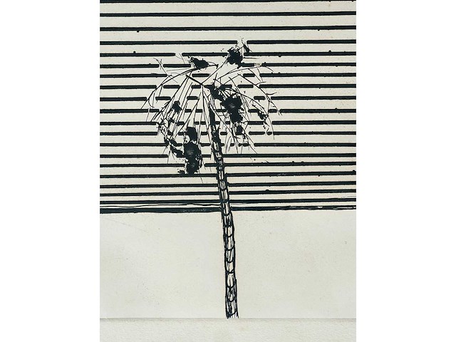 Roger raveel - ets - afbeelding 13 van  13