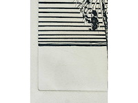 Roger raveel - ets - afbeelding 5 van  13