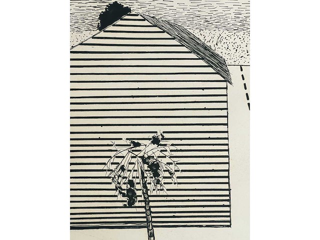 Roger raveel - ets - afbeelding 10 van  13