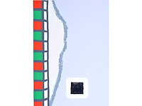 Roger raveel - geluidloze tuin - kleurenzeefdruk met spiegel - afbeelding 5 van  8