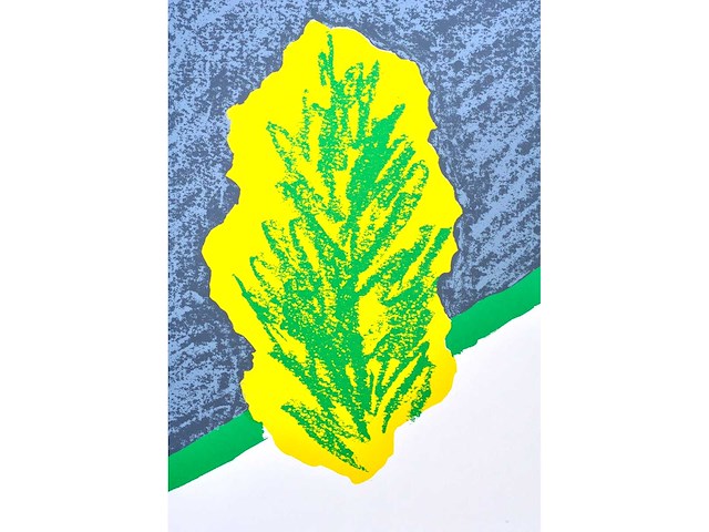 Roger raveel - geluidloze tuin - kleurenzeefdruk met spiegel - afbeelding 7 van  8