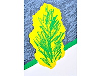 Roger raveel - geluidloze tuin - kleurenzeefdruk met spiegel - afbeelding 7 van  8