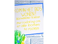 Roger raveel - kom in het bos wonen - litho - afbeelding 8 van  8