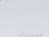 Roger raveel (1921-2013), 'felix vulgaris', silkscreen, artist proof, n° iv/x - afbeelding 4 van  6