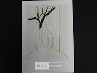 Roger raveel - afbeelding 1 van  1