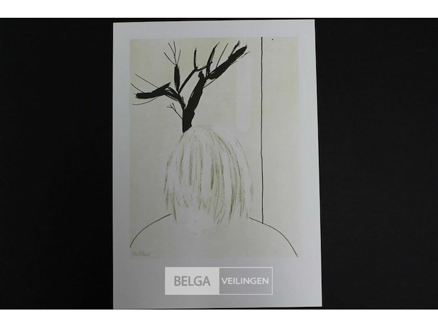 Roger raveel - afbeelding 1 van  1